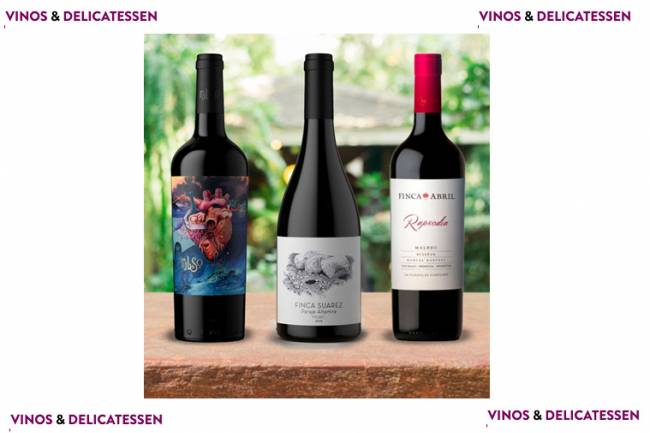 Los 3 Vinos elegidos de la semana: Malbecs de Valle de Uco para el aplauso