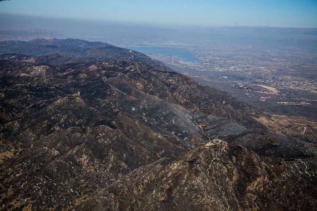 Incendios: Dentro de 6 meses se podría empezar a reforestar las zonas afectadas