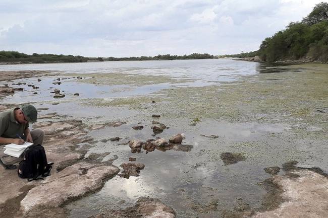 Santiago del Estero: asombro por el hallazgo de restos fósiles de perezoso gigante