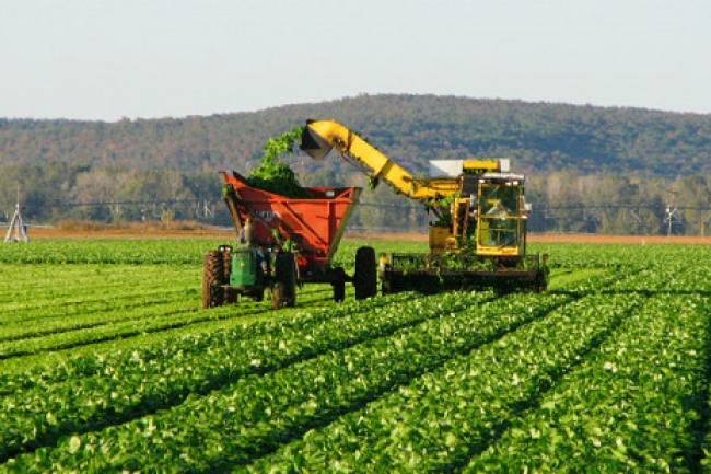 “Córdoba lidera, por primera vez, la producción agroindustrial argentina”