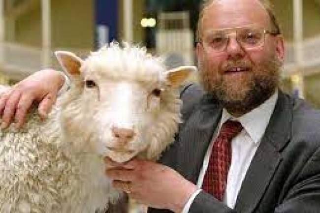 Qué fue de Dolly la oveja clonada?  Se cumplieron 25 años del nacimiento