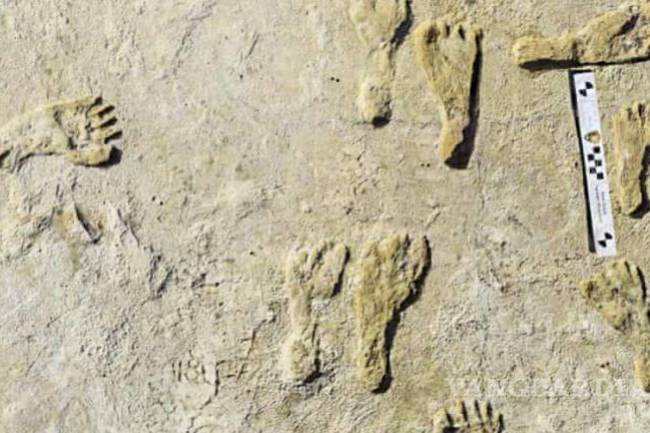 Encontraron huellas de 23 mil años descubiertas por arqueólogos en Nuevo México