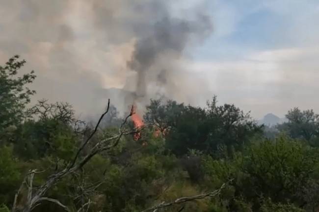 Córdoba: la segunda provincia más devastada por los incendios de bosques nativos