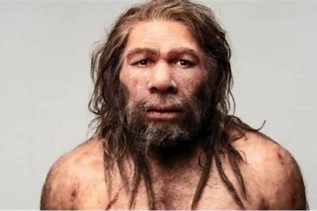 Nuevos aportes sobre la desaparición de los neandertales 