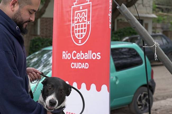 En Rio Ceballos, avanza la salud integral de las mascotas