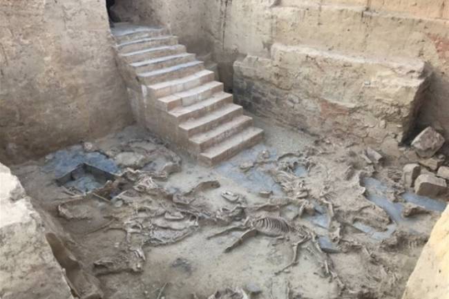 Descubrimiento arqueológico presentado hoy en España