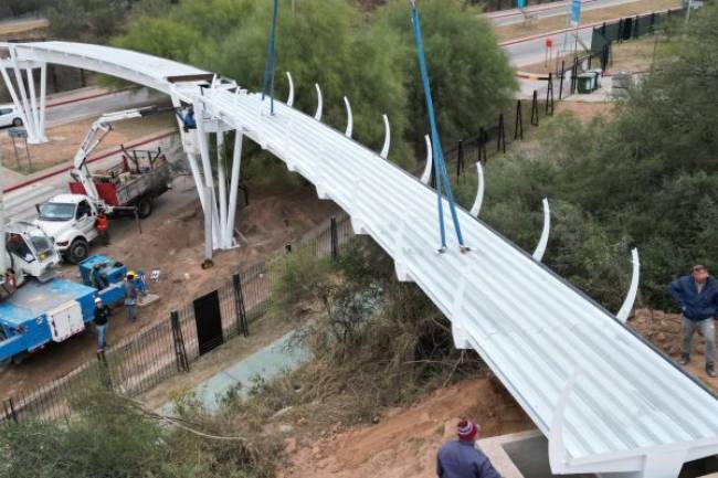 Unen el Jardín Botánico y la ULA con un puente peatonal