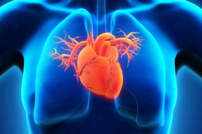 La revolucionaria terapia con células madre ofrece nuevas esperanzas para los pacientes con insuficiencia cardíaca