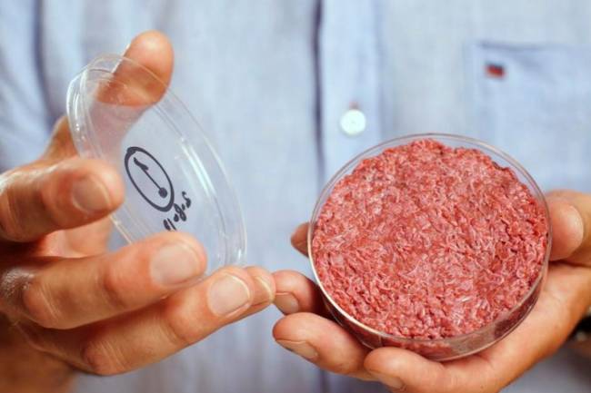Empresas de carne cultivada ya están introduciendo sus productos en los Países Bajos 