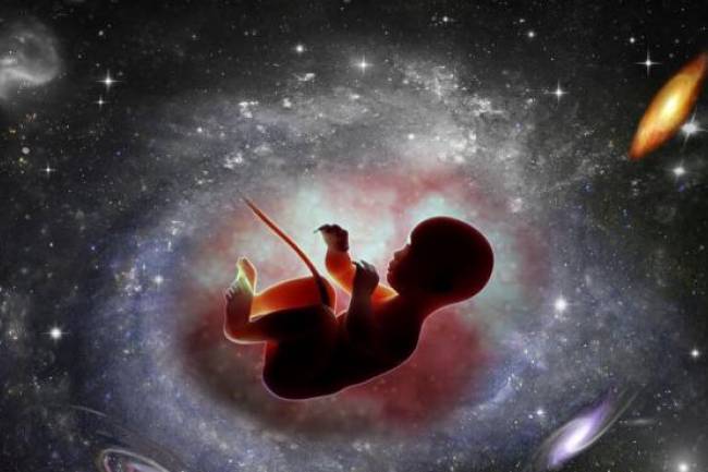 Los científicos se apresuran a concebir el primer bebé en el espacio. Este es el por qué