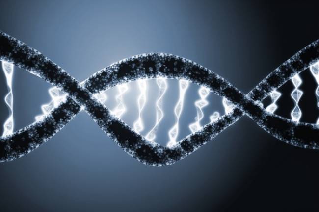 Los nanobots de ADN pueden autorreplicarse exponencialmente