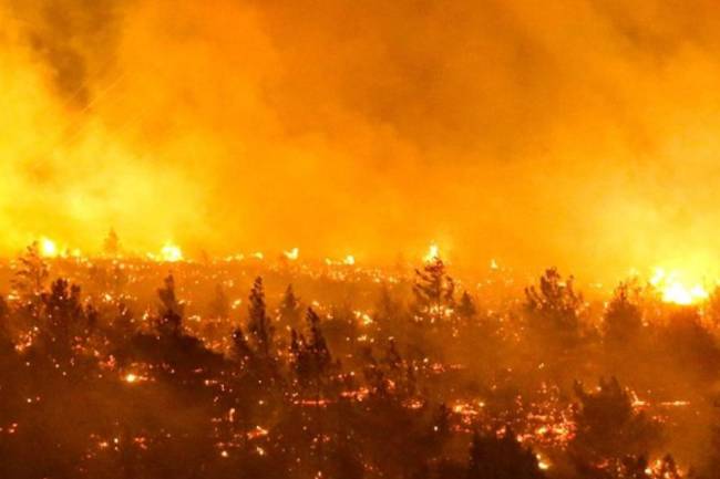 Trágico incendio en Chile, ya afectó a más de 3000 casas y provocó más de 100 fallecidos