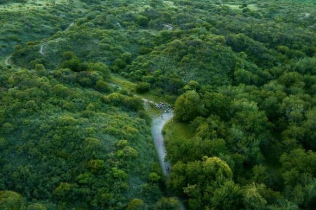 Descubre más de 100 hectáreas de bosques nativos a minutos del centro de La Docta 