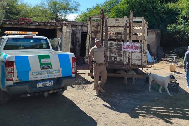 En Serrezuela, clausuraron establecimientos que realizaban faena clandestina