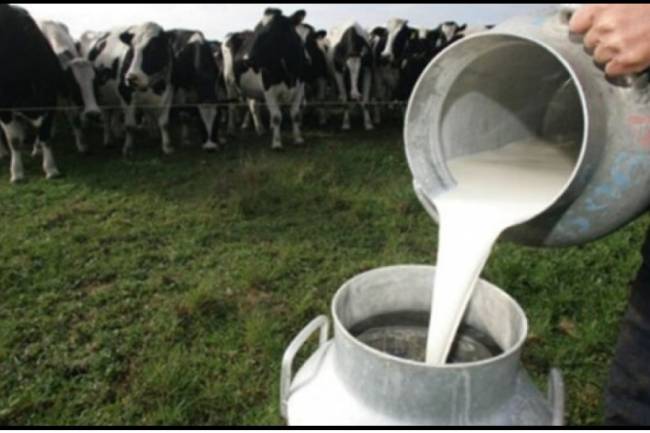 Advierten que la producción de leche es la más baja de los últimos cinco años