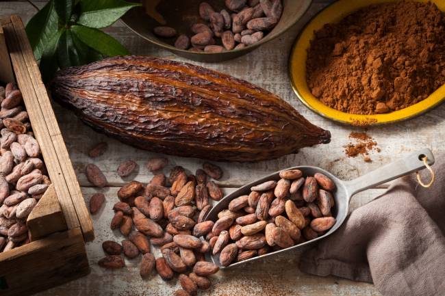 Hallan un nuevo beneficio para la salud sobre el consumo de cacao