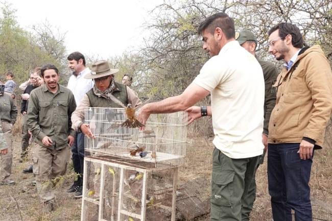 Jornada de liberación de fauna silvestre en Ascochinga