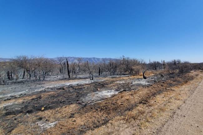 Solicitaron declarar zona de desastre a los sectores afectados por el fuego