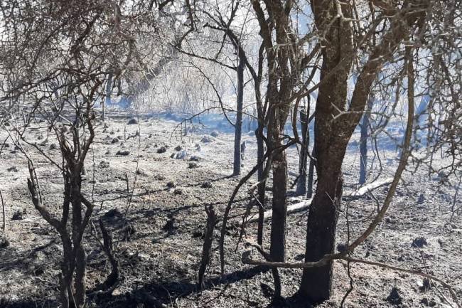 A un mes de los incendios, la Provincia acciona con un millonario  plan de Remediación Social, Productivo y Ambiental
