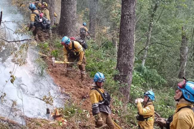 Incendios en la Patagonia: Córdoba colabora con un avión hidrante