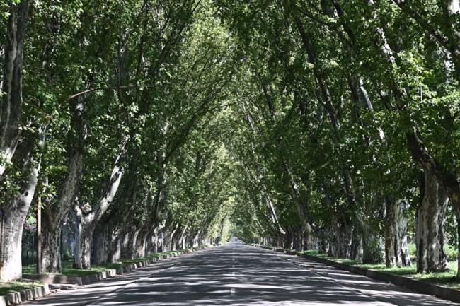 Historia del "túnel natural" que cumple 110 años