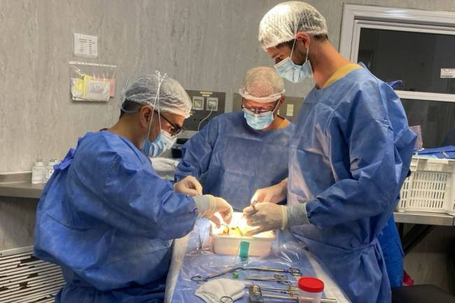 Por primera vez en Córdoba realizaron un trasplante renal con máquinas de perfusión hipotérmicas