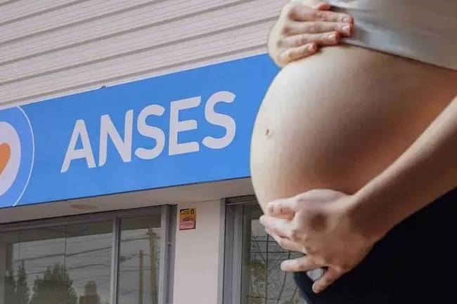 Asignación por Embarazo: cómo cobrarla automáticamente si estás en el Programa Sumar