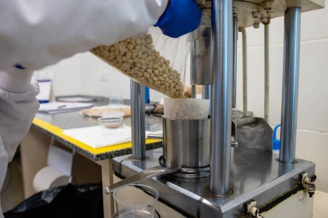 Córdoba, motor del récord mundial de exportaciones de maní argentino