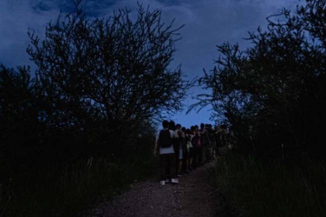 Plan para este jueves: Explorá la Reserva Natural General San Martín de noche