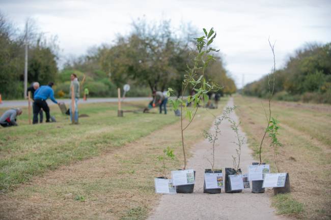 Sinsacate compartió sus experiencias ambientales en el Congreso Nacional de Paisaje en San Juan