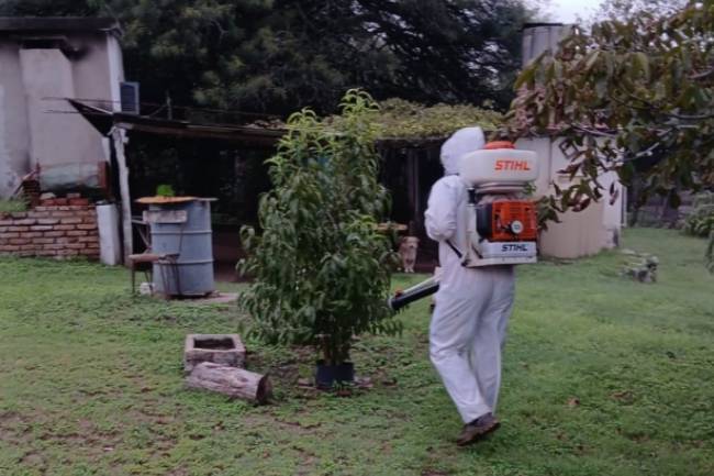 Mosquitos bajo control: Salsipuedes promueve la participación ciudadana para prevenir arbovirosis