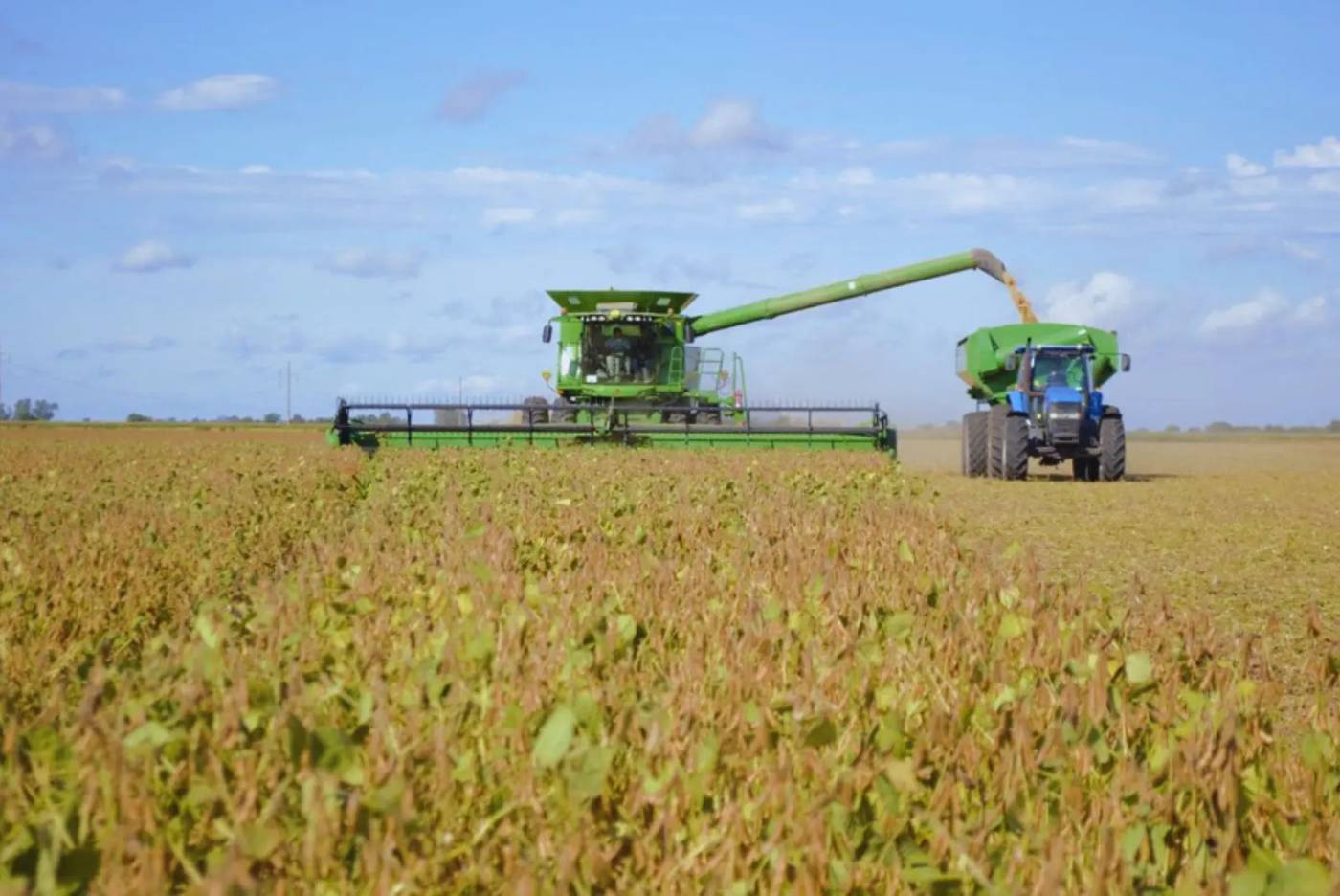 China vuelve a comprar soja a EE. UU. y pone en alerta al agro argentino