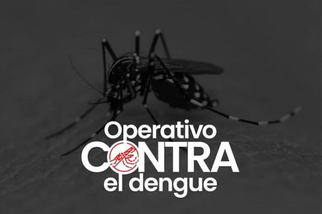 Villa Allende lanza un operativo integral contra el dengue en noviembre