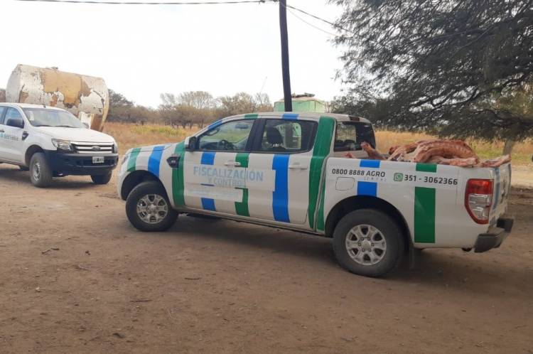 Faena clandestina: decomisan 16 medias reses en Juárez Celman