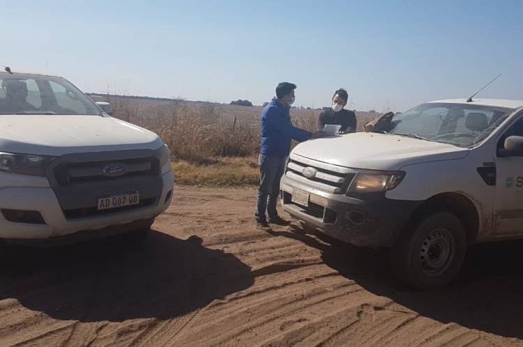 Una Plaga de langosta avanza por el norte cordobés