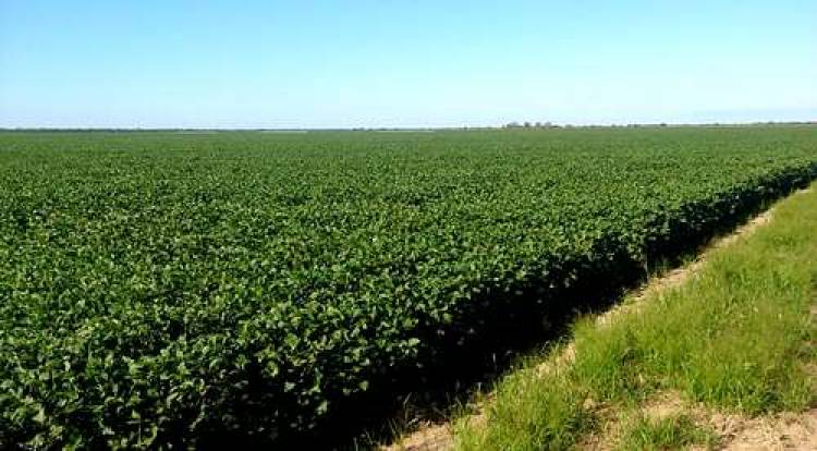 Entidades agropecuarias de Córdoba rechazan proyecto de ley de aporte solidario