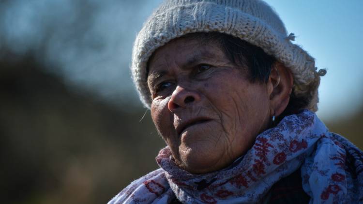 Conoce el caso de Agustina Tolosa, la campesina de 70 años que intentan desalojar en Salsipuedes tras 18 años de vivir ahí.