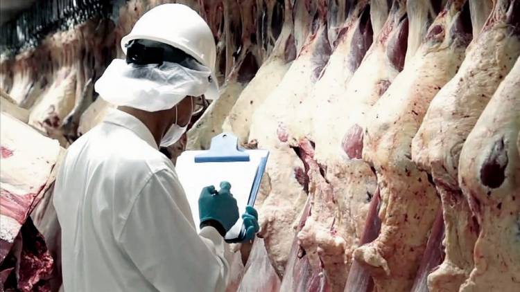 Exportación de carne: El Gobierno  reestablece precios de referencia