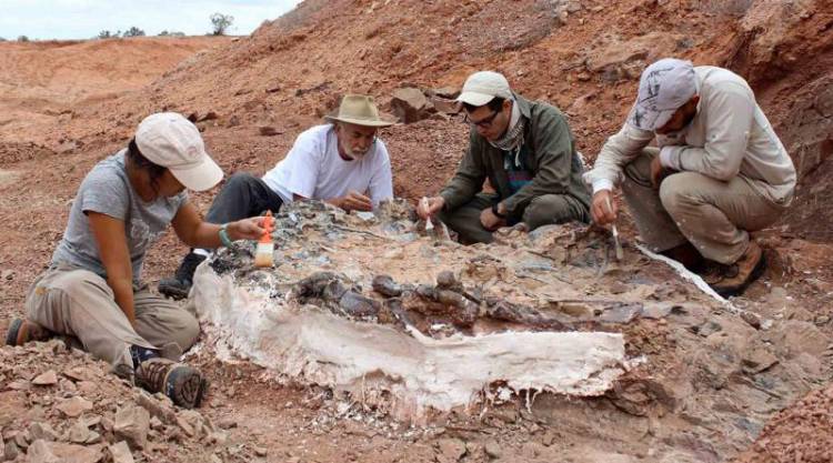 Descubrimiento de restos fósiles únicos en la provincia de San Juan