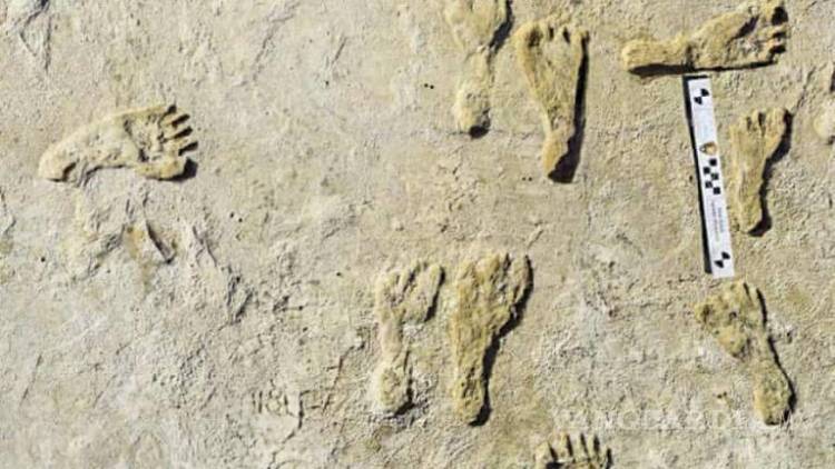 Encontraron huellas de 23 mil años descubiertas por arqueólogos en Nuevo México