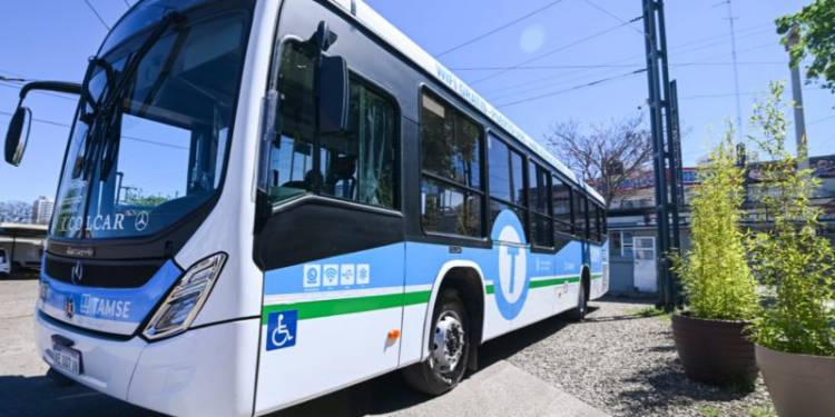 Transporte urbano gratuito por un día