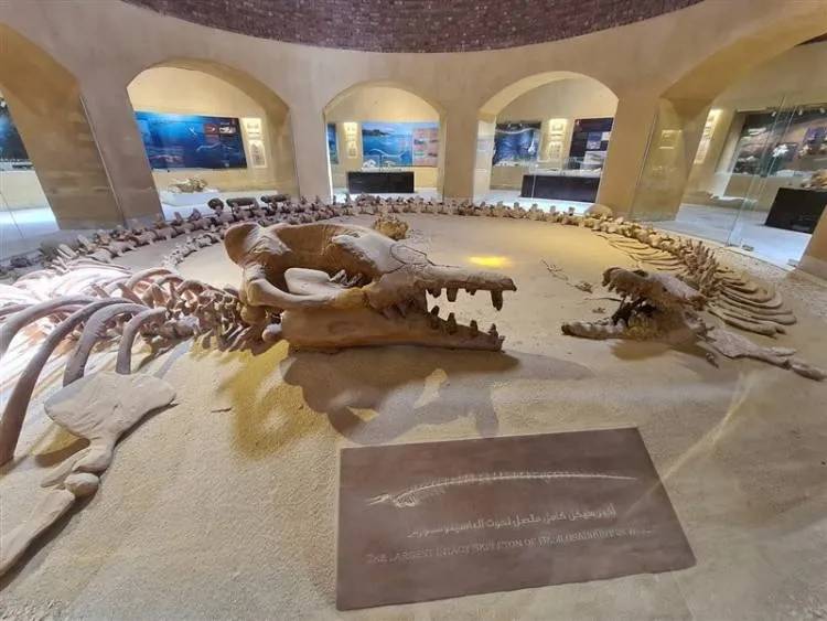 Un valle en África, con restos de fósiles de ballenas