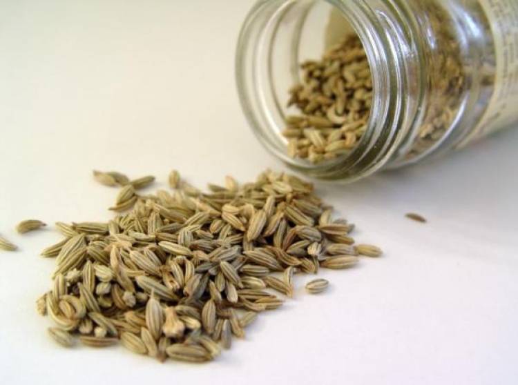 Las semillas de hinojo: Lo que tenés que saber