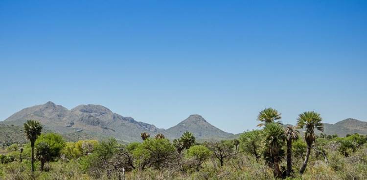 Córdoba : donde también existen volcanes