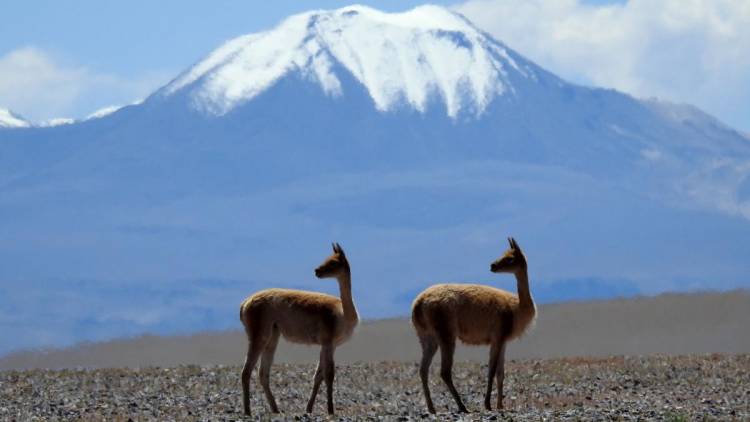 Las montañas, que albergan el 80 por ciento de agua dulce mundial, están en riesgo