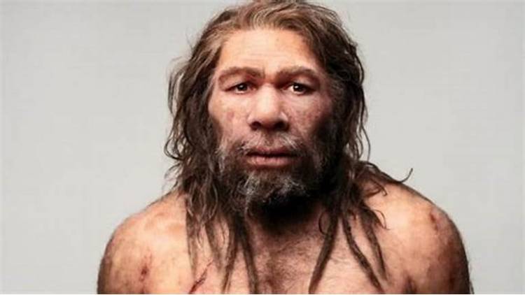 Canibalismo entre los neandertales
