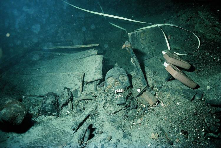 Los vikingos en actuales descubrimientos científicos