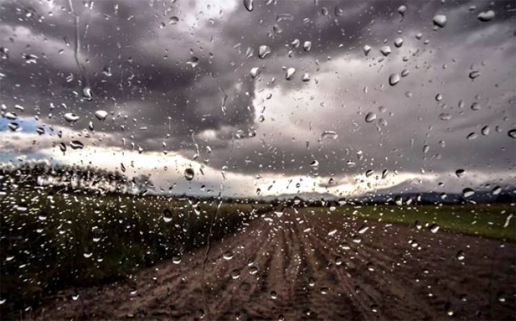 Las lluvias mejoraron las posibilidades de cosecha en las zonas afectadas por la sequía