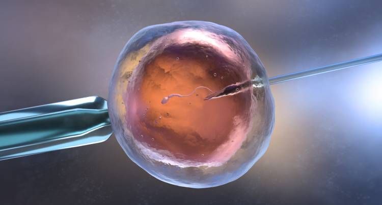 Los primeros bebés concebidos por un robot