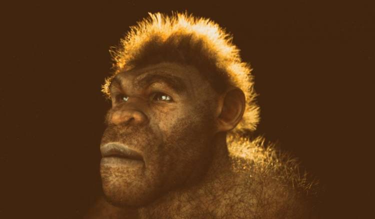 Notable descubrimiento que puede cambiar conceptos de la historia de la humanidad